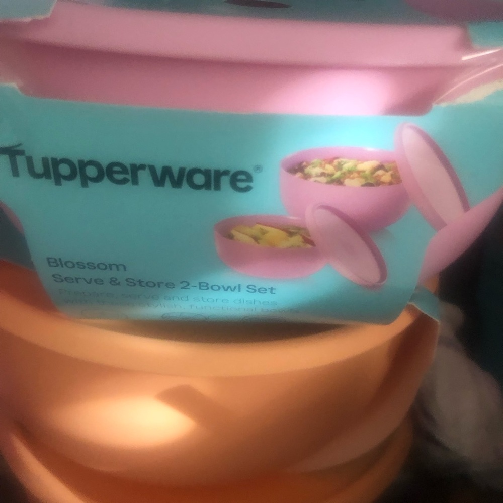New Tupperware bowl set with lids 2 pc